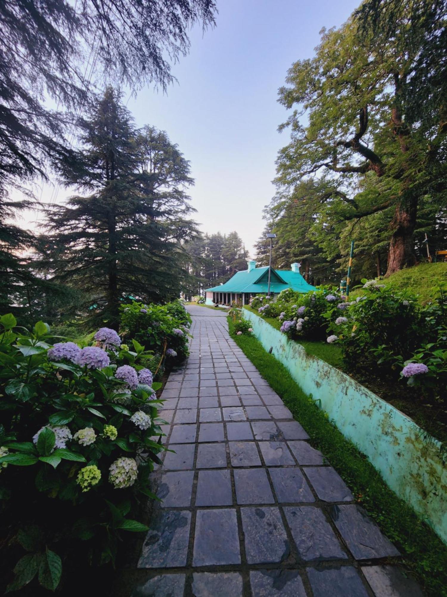 Smarthill Kalatop-Nature'S Heaven Hotel Dalhousie Exterior foto