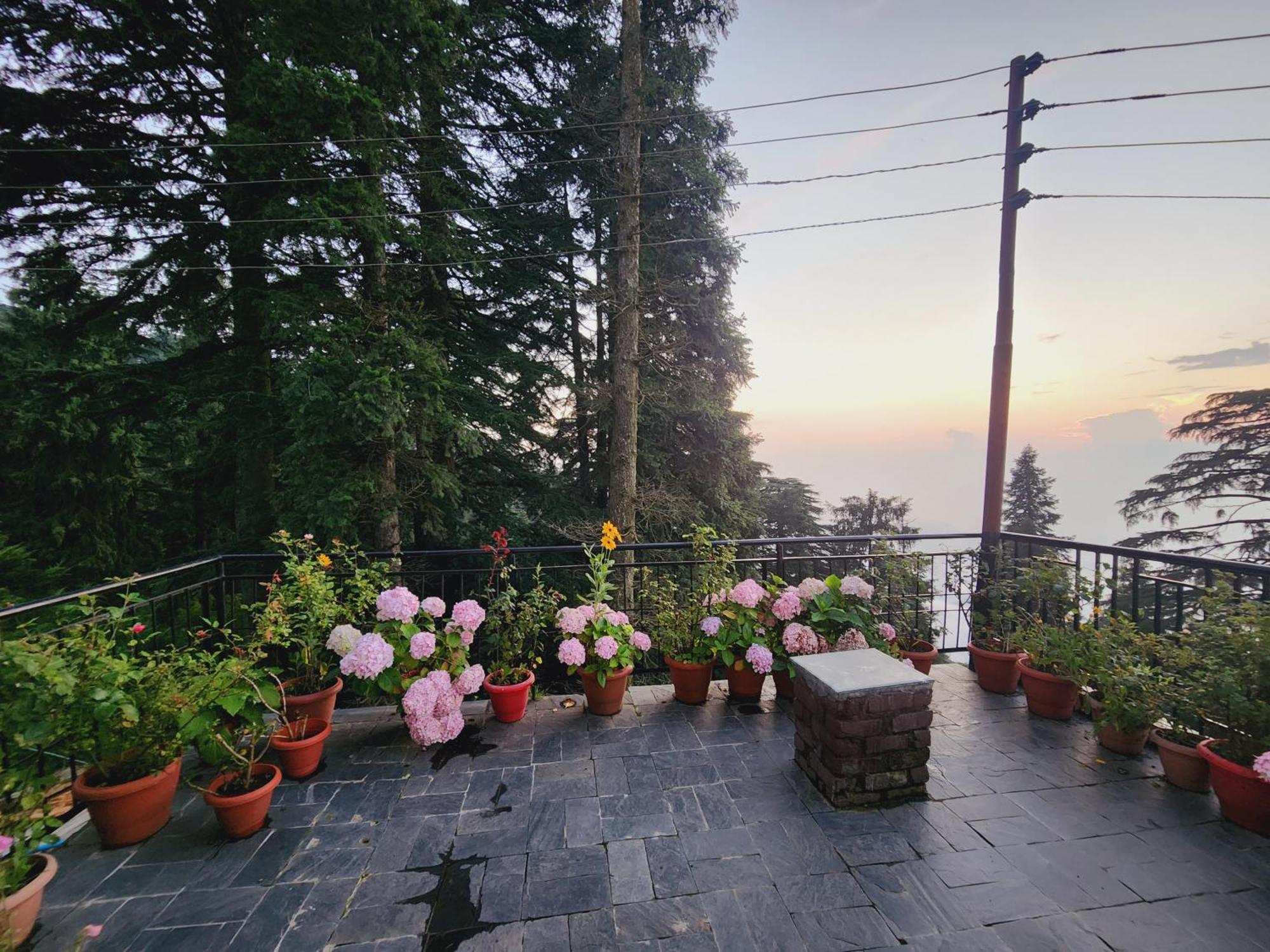 Smarthill Kalatop-Nature'S Heaven Hotel Dalhousie Exterior foto